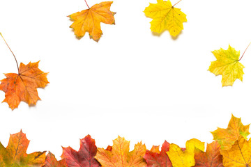 Naklejka na ściany i meble Line of autumn leaves with falling leaves on a white background