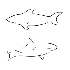 Fototapeta premium Black line sharks on white background. Hand drawing vector graphic.