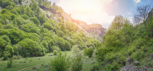 Road passing through a beautiful gorge among the mountains covered with green vegetation and trees. Panoramic image