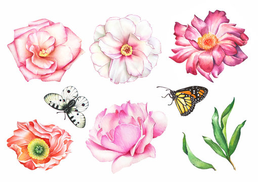 Watercolor hand drawn summer set of flowers, butterflies and green leaves
