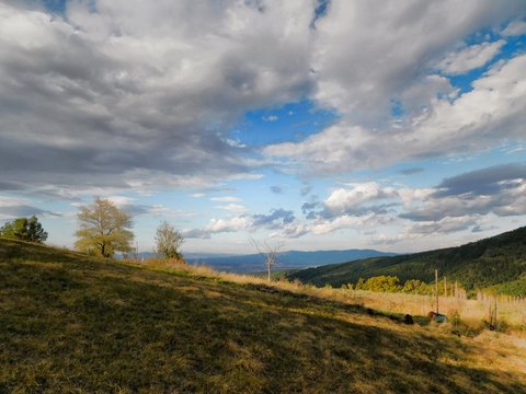 Autumn in mountains. 