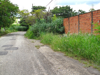 unkempt bush ridden streets