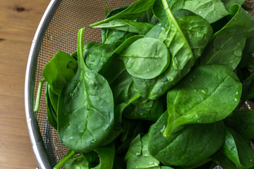 fresh young spinach leaves