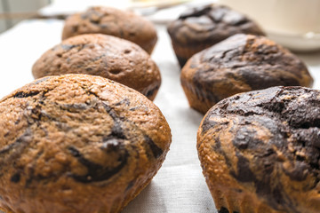tasty chocolate-vanilla muffins close-up