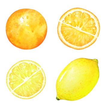 Set of watercolor hand drawn lemon and orange fruits isolated on white background