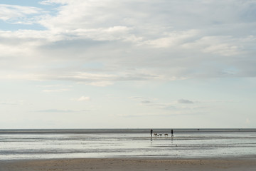 Vacation at the North Sea coast