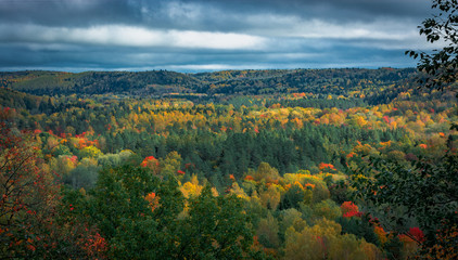  Picturesque view on valley of Gaujas national park. Trees changing colors in foothills.  Colorful Autumn day at city Sigulda in Latvia. 