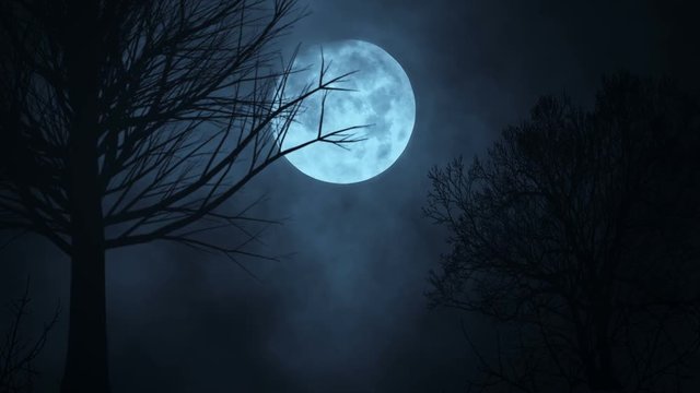 Seamless loop time lapse of moon night sky. spooky trees silhouette. darkness. scary sky. clouds moving