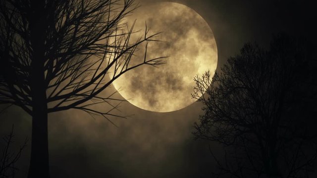 Seamless loop spooky moon background. tree silhouette. large full moon close up. time lapse. night sky