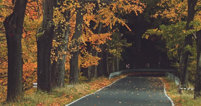 Autumn Outdoors. SLOW MOTION 4K. Colourful fall mountain forest, the scenic road with cars in the woods. Cinematic shot. 