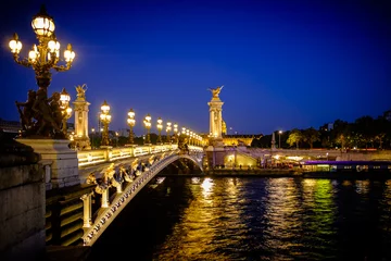 View of the Alexander III bridge, Paris, France