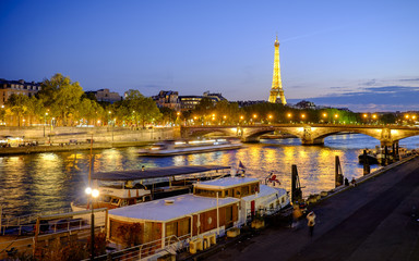 View of the Seine and the Tour Eiffel at night, Paris, France