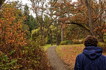 Fall in beacon hill park