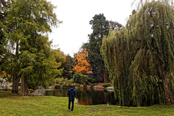 Fall in beacon hill park