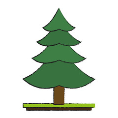 Tree pine symbol icon vector illustration graphic design