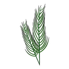 Bouquet of leaves icon vector illustration graphic design