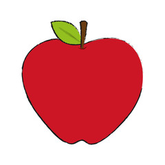 Delicious apple fruit icon vector illustration graphic design