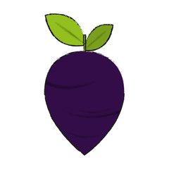 Radish fresh vegetable icon vector illustration graphic design