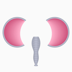 Elephant face elements - ears and proboscis. Selfie photo and video chart filter with cartoon animals mask. Vector illustration.