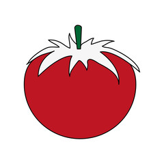 Tomato fresh vegetable icon vector illustration graphic design