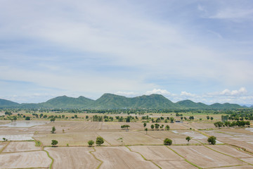 Water in the rice field for preparing rice in Thailand