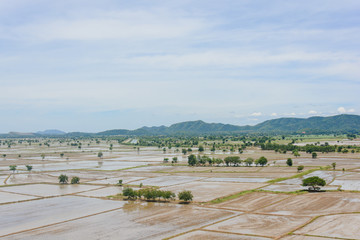Fototapeta na wymiar Water in the rice field for preparing rice in Thailand
