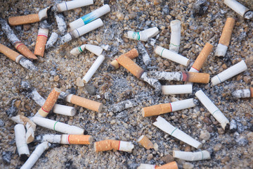The rest of cigarettes in the ashtray. There are many types of cigarette stub on the sand in the ashtray.