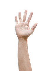 Fototapeta premium Man hand isolated on white background, clipping path
