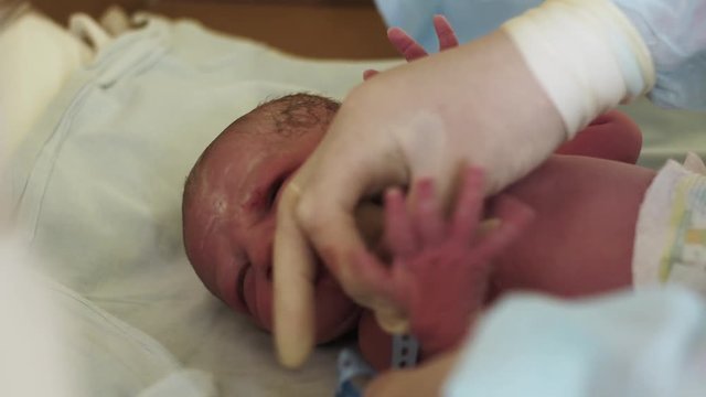 Nurse in gloves put on blue bracelet on hand of newborn baby. Maternity hospital. Neonate child. Infant