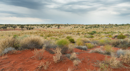 Central Australian Outback Red Sand Dunes Desert  Landscape