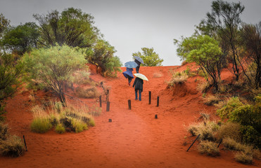 Central Australian Outback Red Sand Dunes Desert  Landscape