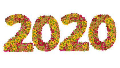 Numbers 2020 made from Zinnias flowers isolated on white background with clipping path. Happy new year concept