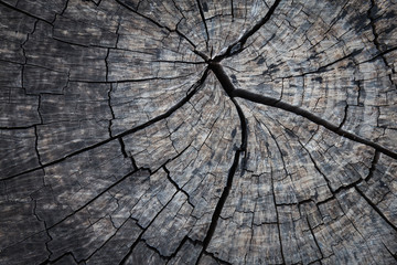 Fototapeta premium old wooden for background