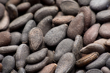 Close up Pile of black sesame seeds background