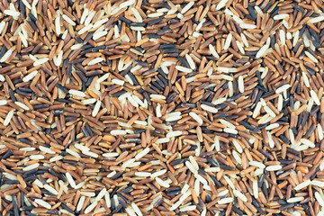 brown rice thai background