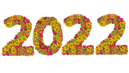 Numbers 2020 made from Zinnias flowers isolated on white background with clipping path. Happy new year concept