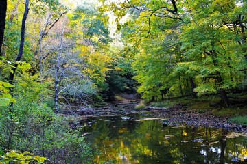 Autumn Creek 2