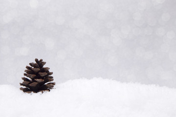 Pinecones that look like Christmas trees on a silver background in the snow