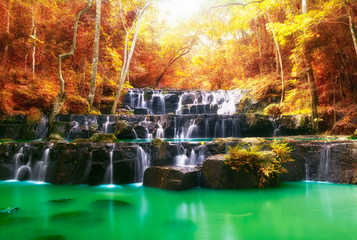 Beautiful waterfall in autumn, rocks and stones in autumn forest
