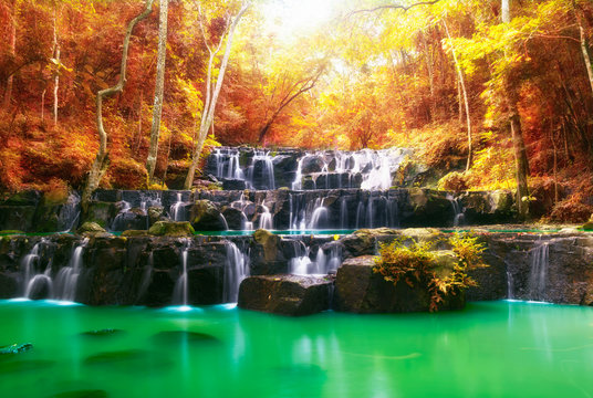 Beautiful waterfall in autumn, rocks and stones in autumn forest