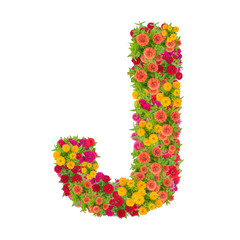 Letter J alphabet made from zinnia flower ABC concept type as logo.Typography design with clipping path
