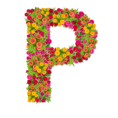 Letter P alphabet made from zinnia flower ABC concept type as logo.Typography design with clipping path
