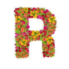 Letter R alphabet made from zinnia flower ABC concept type as logo.Typography design with clipping path