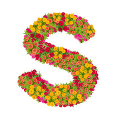 Letter S alphabet made from zinnia flower ABC concept type as logo.Typography design with clipping path