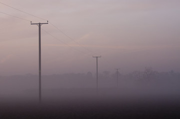 Fototapeta na wymiar Power lines in pre dawn mist