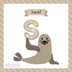 Letter S uppercase cute children colorful zoo and animals ABC alphabet tracing flashcard of Black Spider for kids learning English vocabulary and handwriting vector illustration.