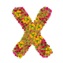 Letter X alphabet made from zinnia flower ABC concept type as logo.Typography design with clipping path