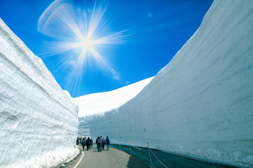 Road between snow wall of  Tateyama Kurobe Alpine Route or Japanese Alps with blue sky  background is  one of the most important and popular natural place in Toyama Prefecture, Japan.