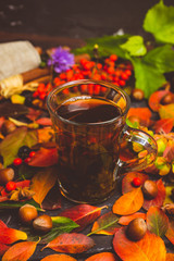 Cup of tea with autumn leaves, nuts, berries and spices on the rustic background. Shallow depth of field. Toned image.