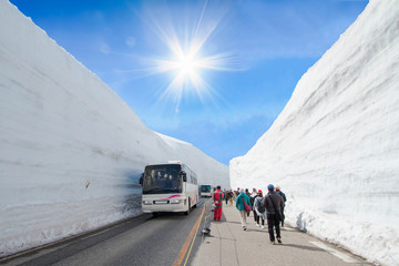  The snow mountains wall of Tateyama Kurobe alpine  with blue sky  background is  one of the most...